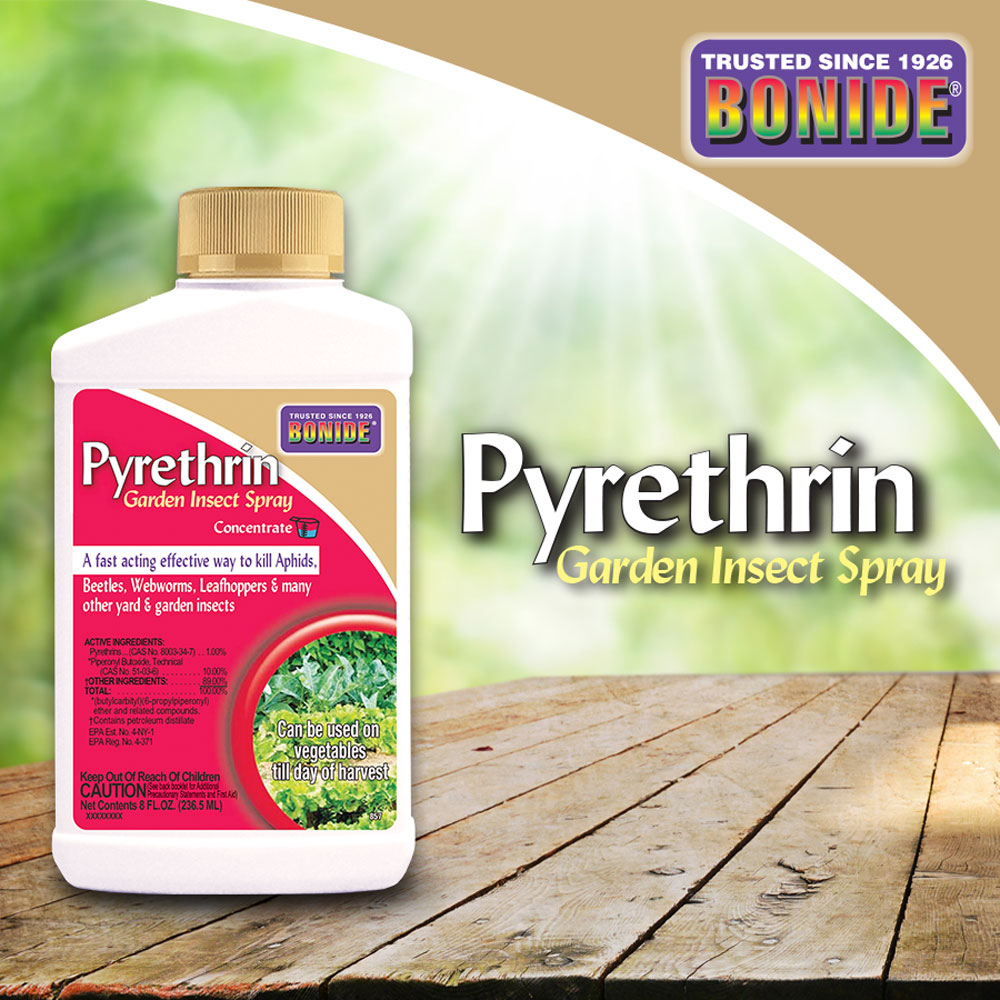 Pyrethrin Garden Spray<br> concentrate, 16 oz Jug