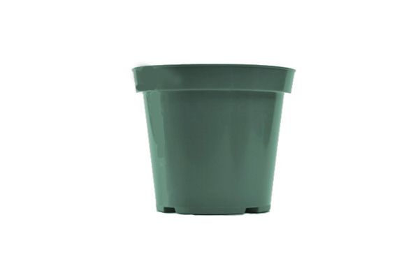 green pots