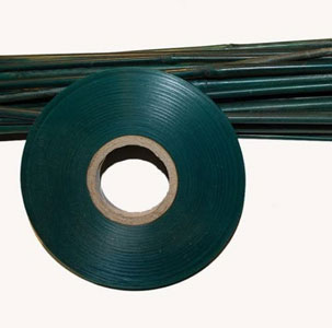 green bamboo stake, with tape