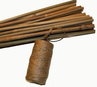  Natural Bamboo Stakes, with twine