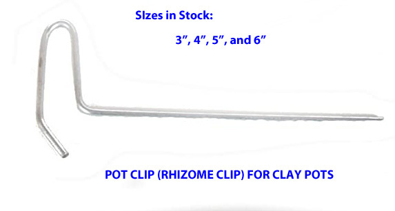 Rhizome Clips