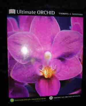 Ultimate Orchid