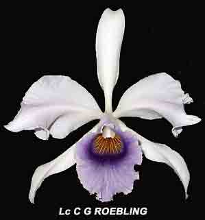 Lc C G Roebling  1696H