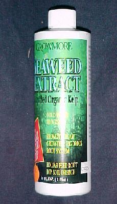 Seaweed Extract   OSG29