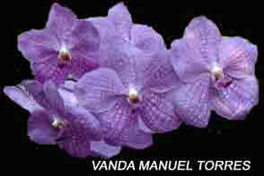 Vanda Manuel Torres   1608H