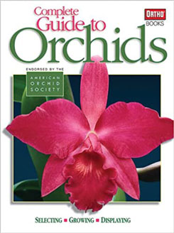 All About Orchids