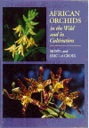 african orchids