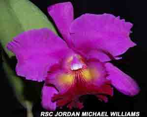 Rsc Jordan Michael Williams