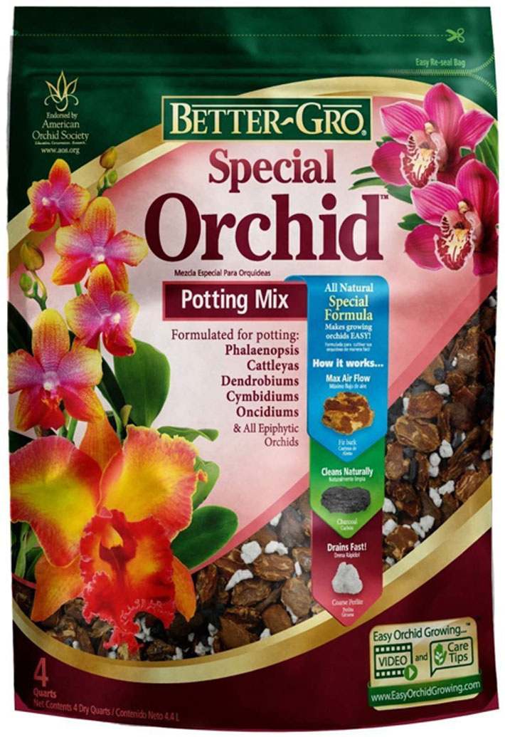 Special Orchid Media