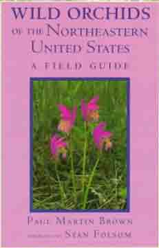 Wild Orchids of the Northeastern United States