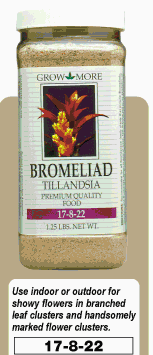 Bromeliad 17-8-22  GROW MORE OSG18