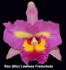 Rsc Lawless Freischutz
