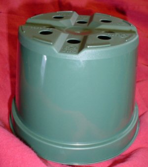 Orchid Pot,  5 inch Plastic