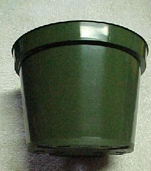 Orchid Pot,  7 inch  Plastic