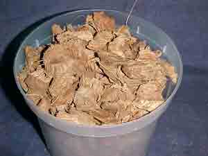 Coconut Chips Lg w/perlite charcoal CCLP