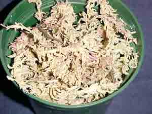 Sphaghum Moss Long Fiber OSG3