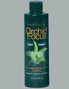 Orchid Focus Growth  2-0.6-2 OFG