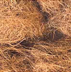 Coconut Long Fibers