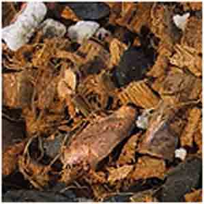 Coco Chip Potting Medium