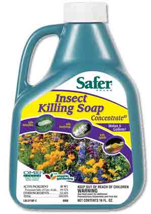 SAFER INSECTICIDAL SOAP