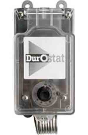 Thermostat, Dual Voltage