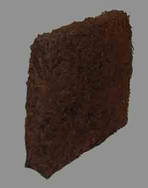 Tree Fern Slabs